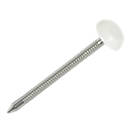 Drywall Screws