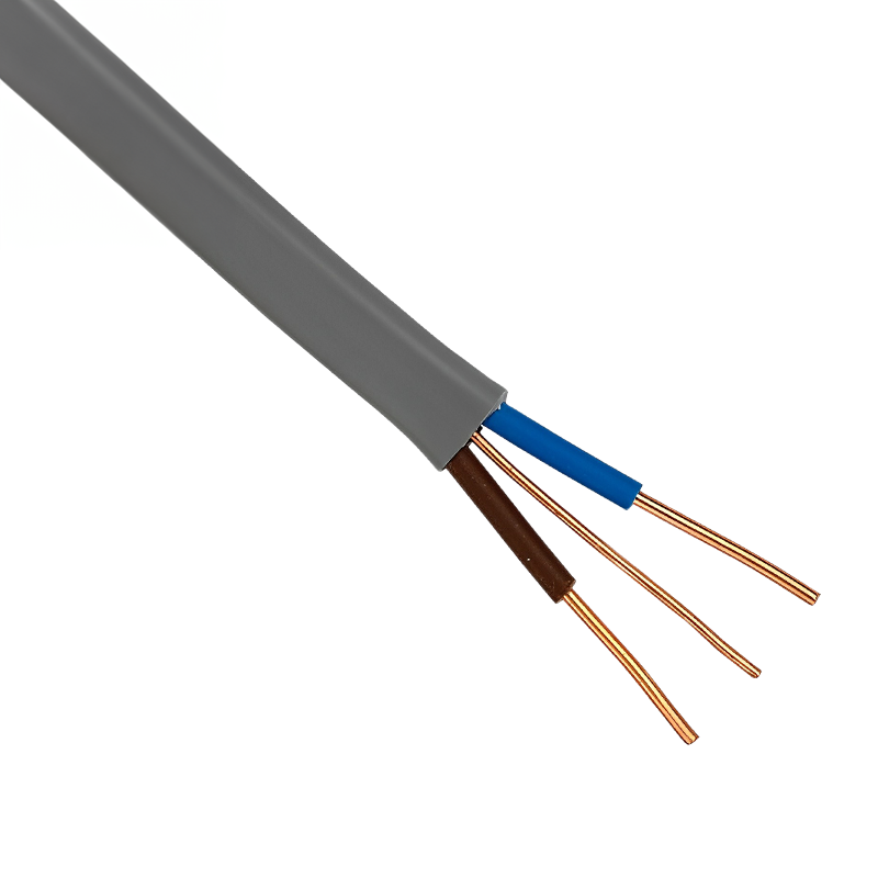 Twin with Earth Cable